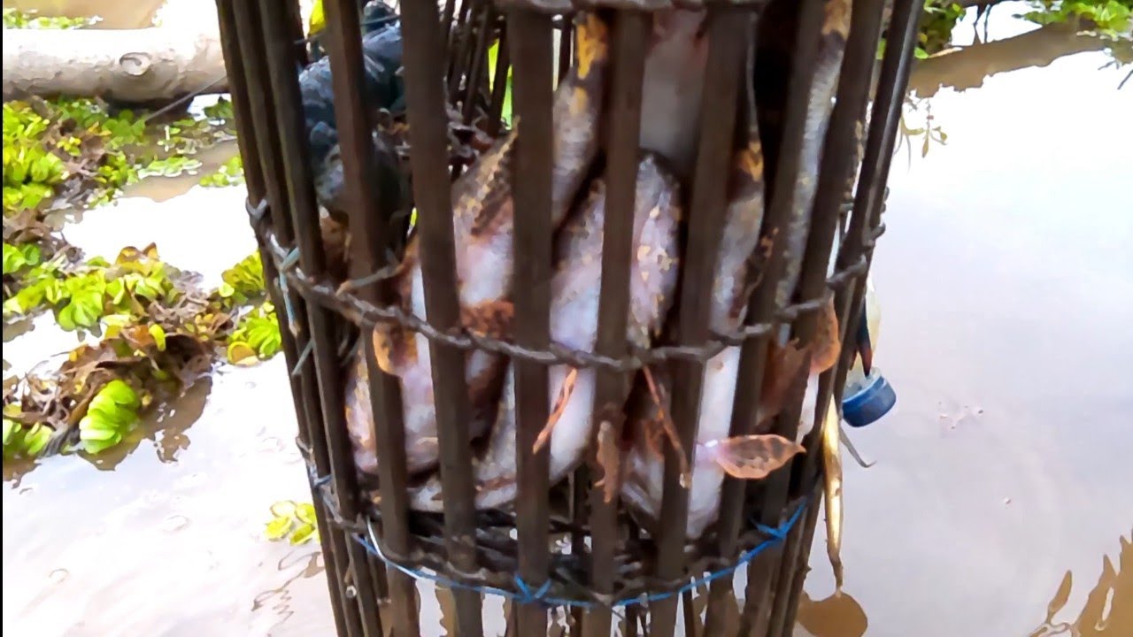 Tiada duanya lokasi ini mencari ikan banyak sekali. 