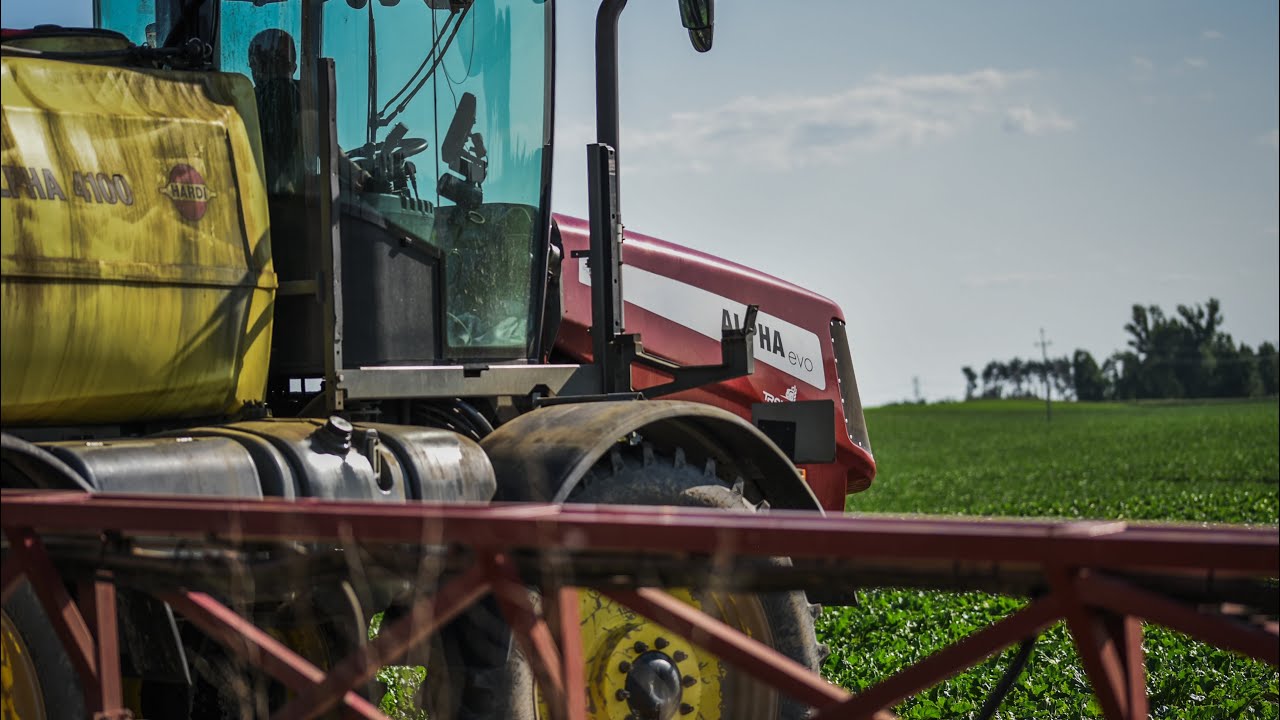 ✩ 🇵🇱 ODŻYWKA NA BURAKA2025 ✩ Hardi Alpha EVO ✩ Filmowy ✩