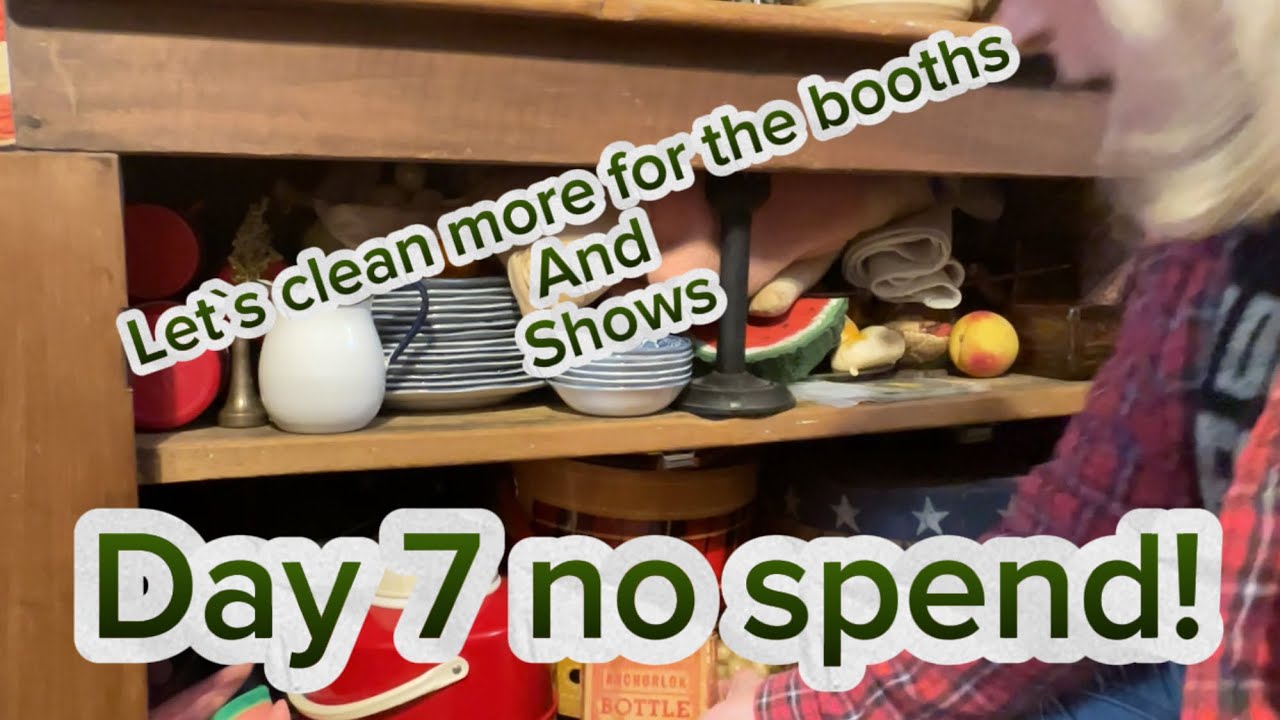 Day 7 No Spend // Clean out // Step Back Cabinet