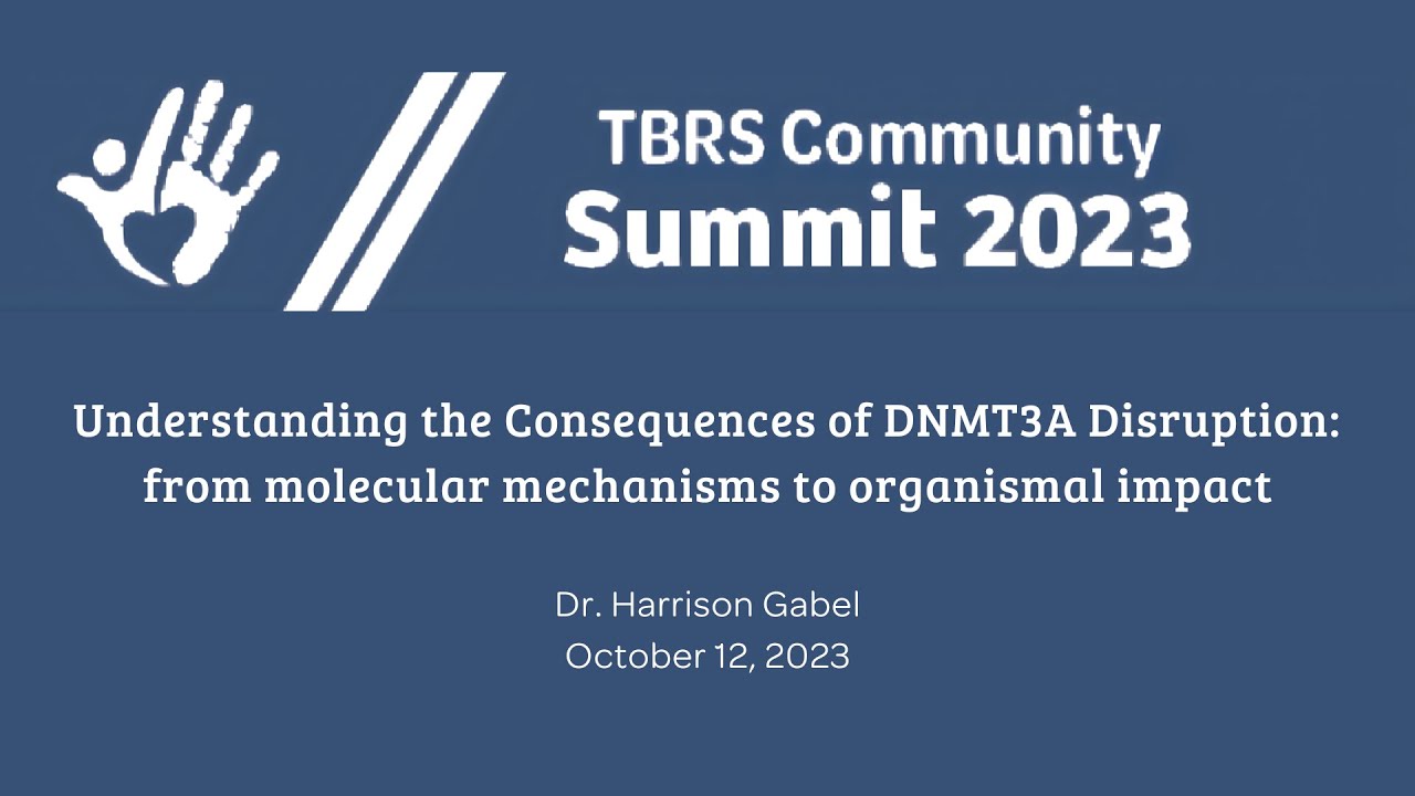 Understanding the Consequences of DNMT3A Disruption - Dr. Harrison Gabel
