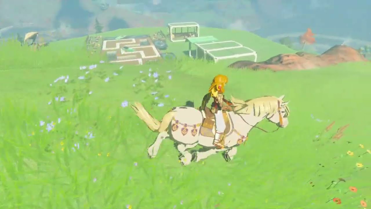 TOTK: Link's Grand Opening Community Pool   