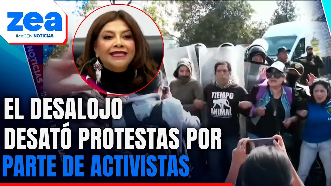 Más de 900 perritos fueron desalojados del Refugio Franciscano | Noticias con Francisco Zea