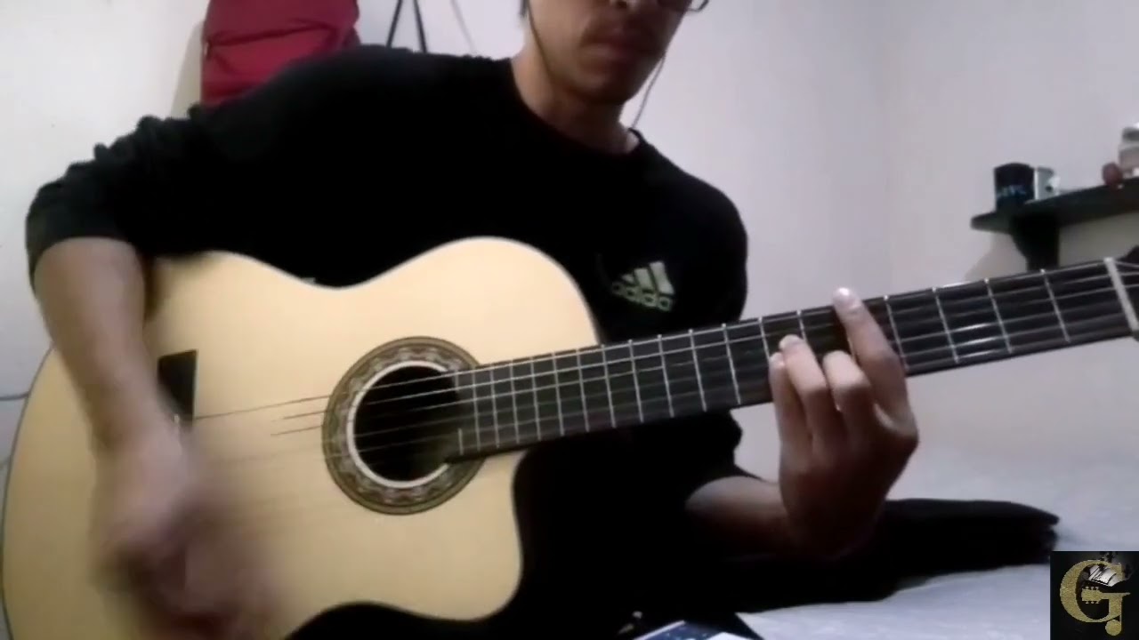Hayley Williams - Glum (Acoustic Guitar Cover). 