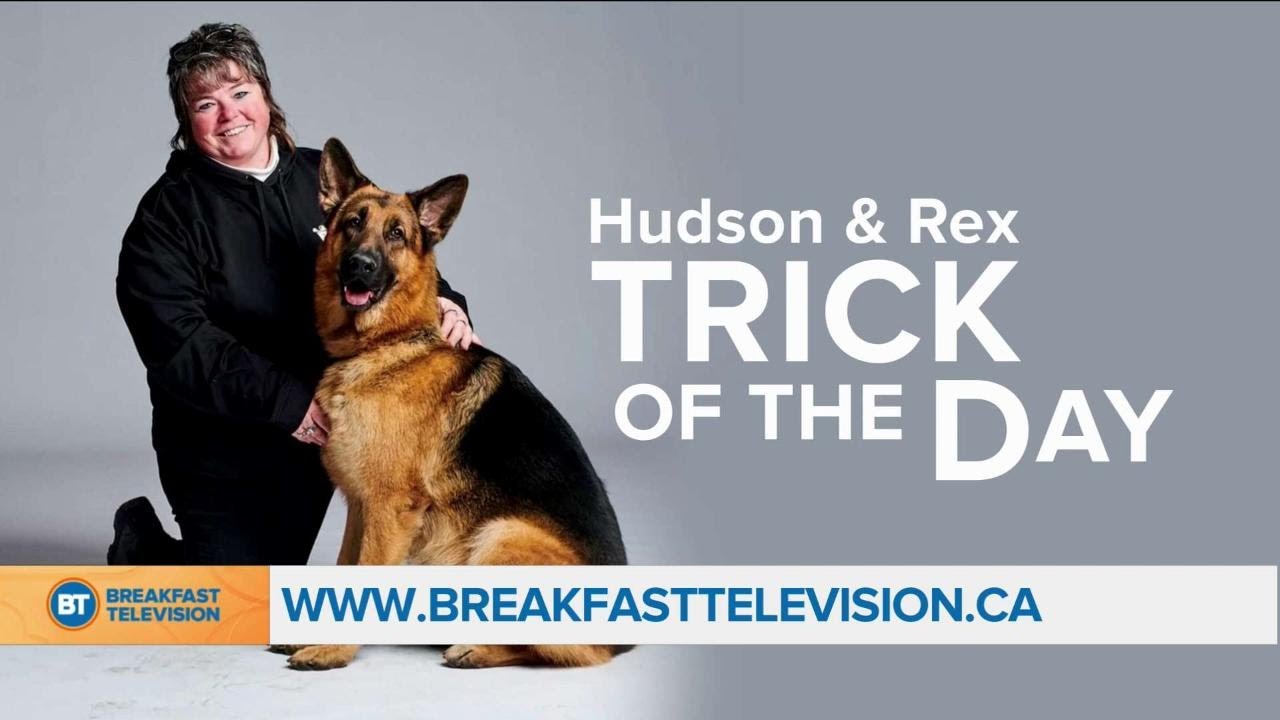 Hudson & Rex Trick of the day!