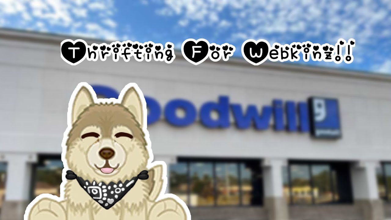 thrifting for webkinz!! (+ other nostalgic finds?!)