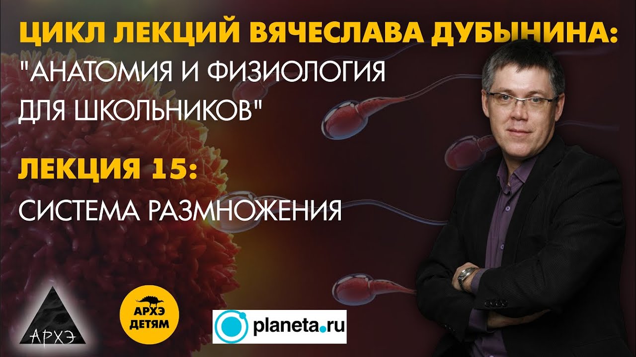 Вячеслав Дубынин: 