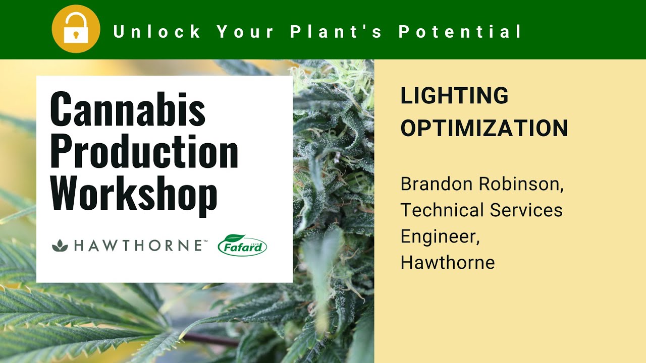 Cannabis Production Workshop  - Lighting Optimization - Brandon Robinson, Hawthorne