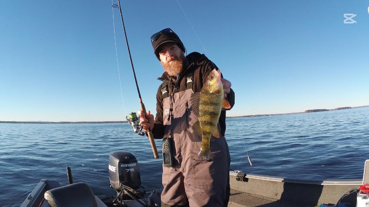 Perch Fishing - What Perch Want - Fall Day on Oneida Lake, NY