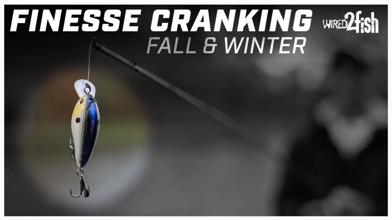 Brandon Cobb's Finesse Crankbait Tips for Cooler Seasons