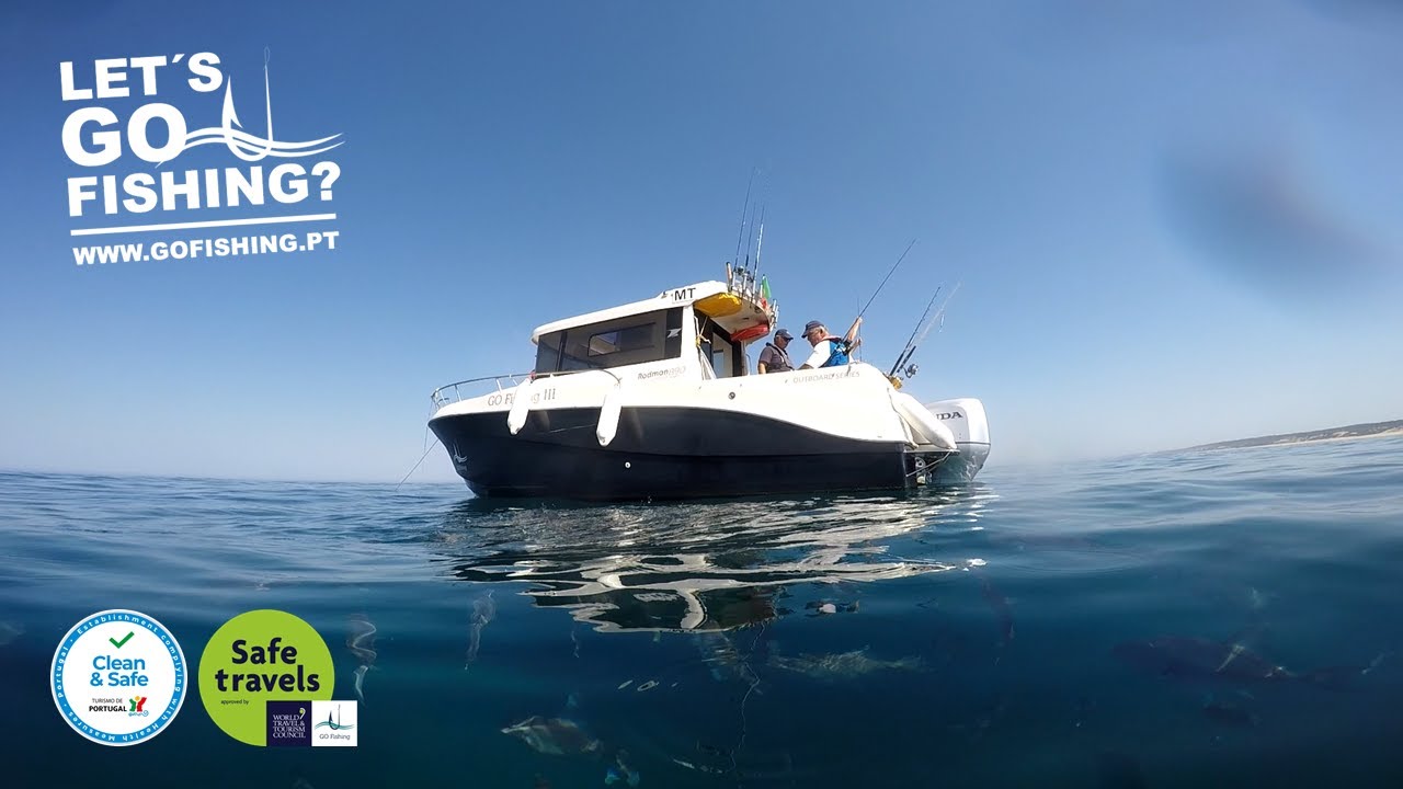 Gosta de pescar onde há peixe? A GO Fishing Portugal leva-o lá!