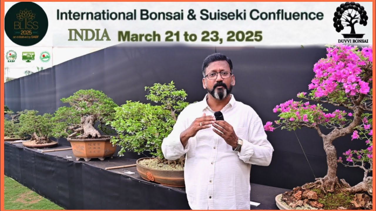 🇮🇳 India world class Bonsai Exhibition 2025|| Bliss International Bonsai & Suiseki Confluence