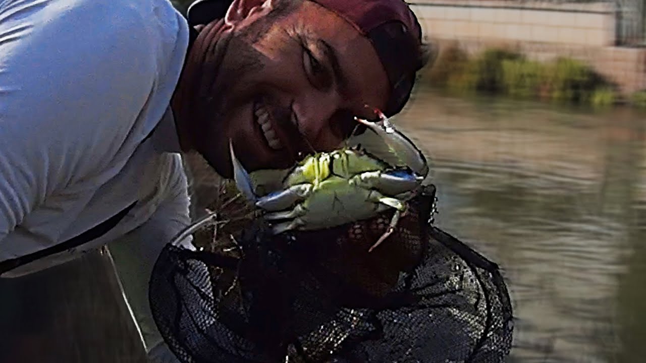 PESCA para COMER y SOBREVIVIR [PESCA de CANGREJOS AZULES]