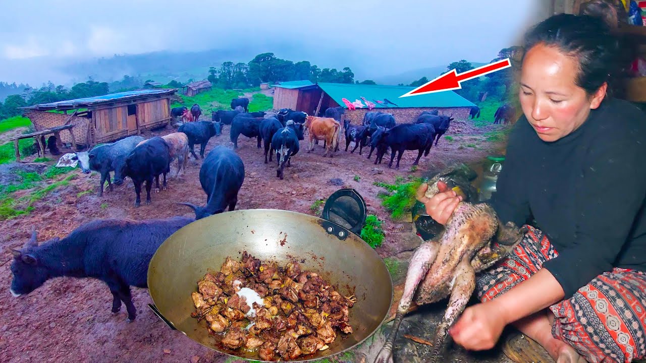 Local Chicken Recipes in Chauri cow shed Lake || shepherd daily lifestyle in rural Himalayan Nepal