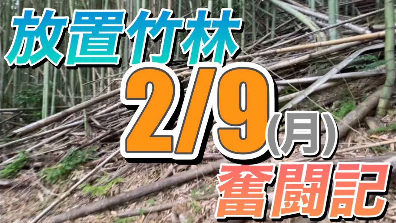 放置竹林奮闘記【早期退職者が竹を焼く日々】2026/02/09