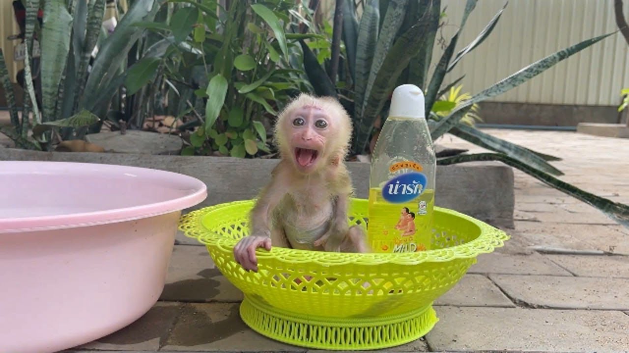 Poor A Tong Request Mom To Hurry Taking Him A Bath