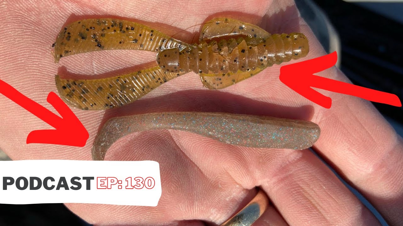 The Best Baits & Lures For Wintertime Inshore Fishing for Redfish & Speckled Trout