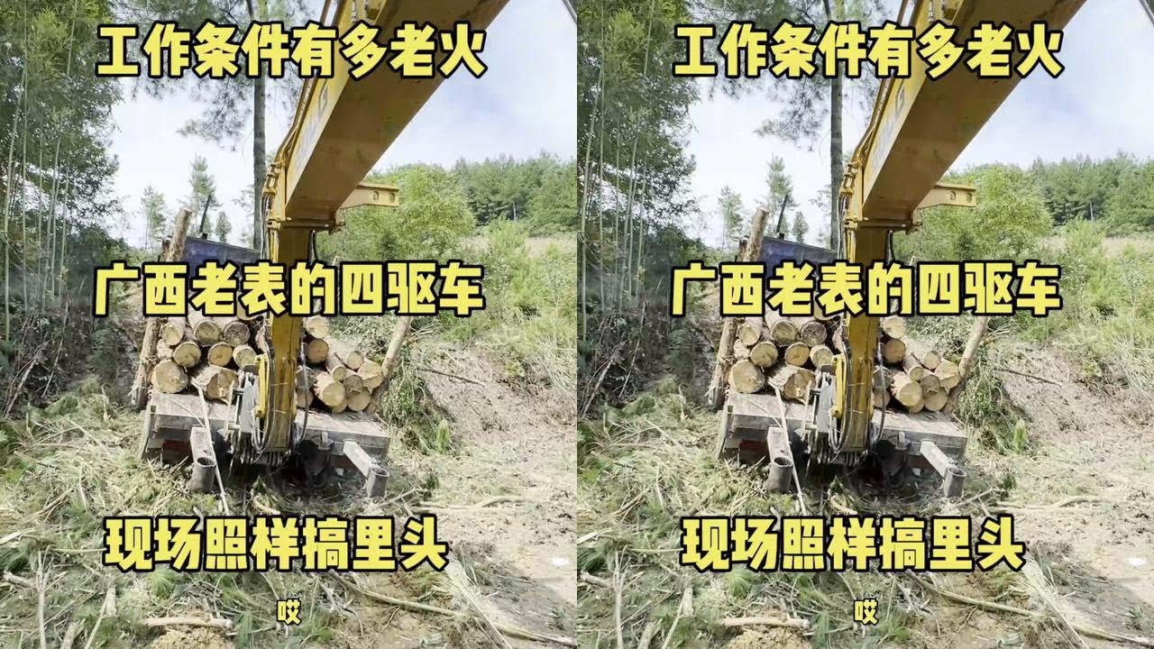 就算四驱车进来也拉不了木头，这个路到底要怎么修 才能把木头拉上山去#抓木机 #工程机械 #挖掘机 #挖挖机的日常 #农村挖机哥正能量