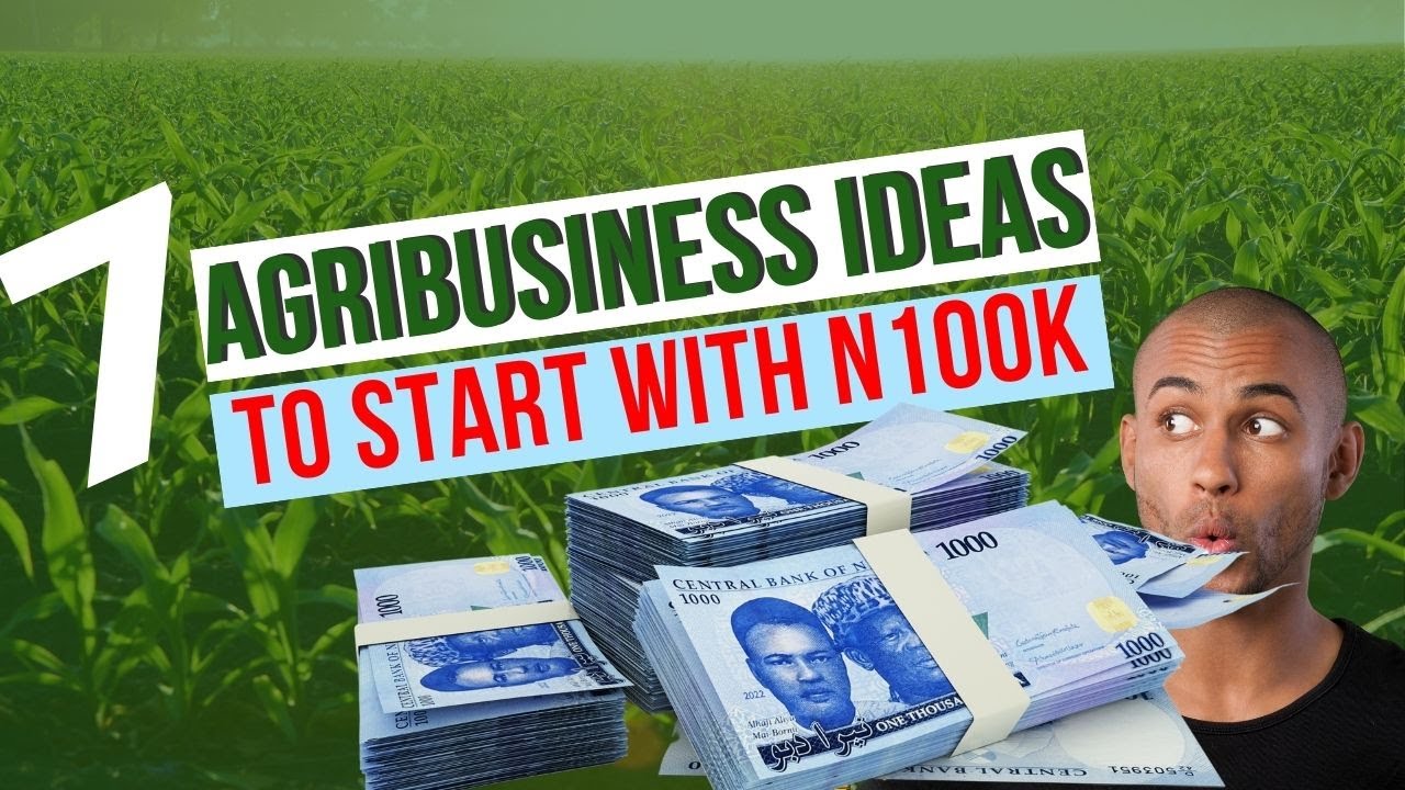 7 Lucrative Agribusiness Ideas You Can Start with Just N100k!