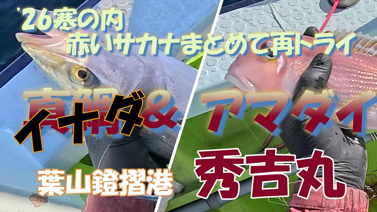 26寒の内 相模湾のタイ五目アマダイリレー 秀吉丸