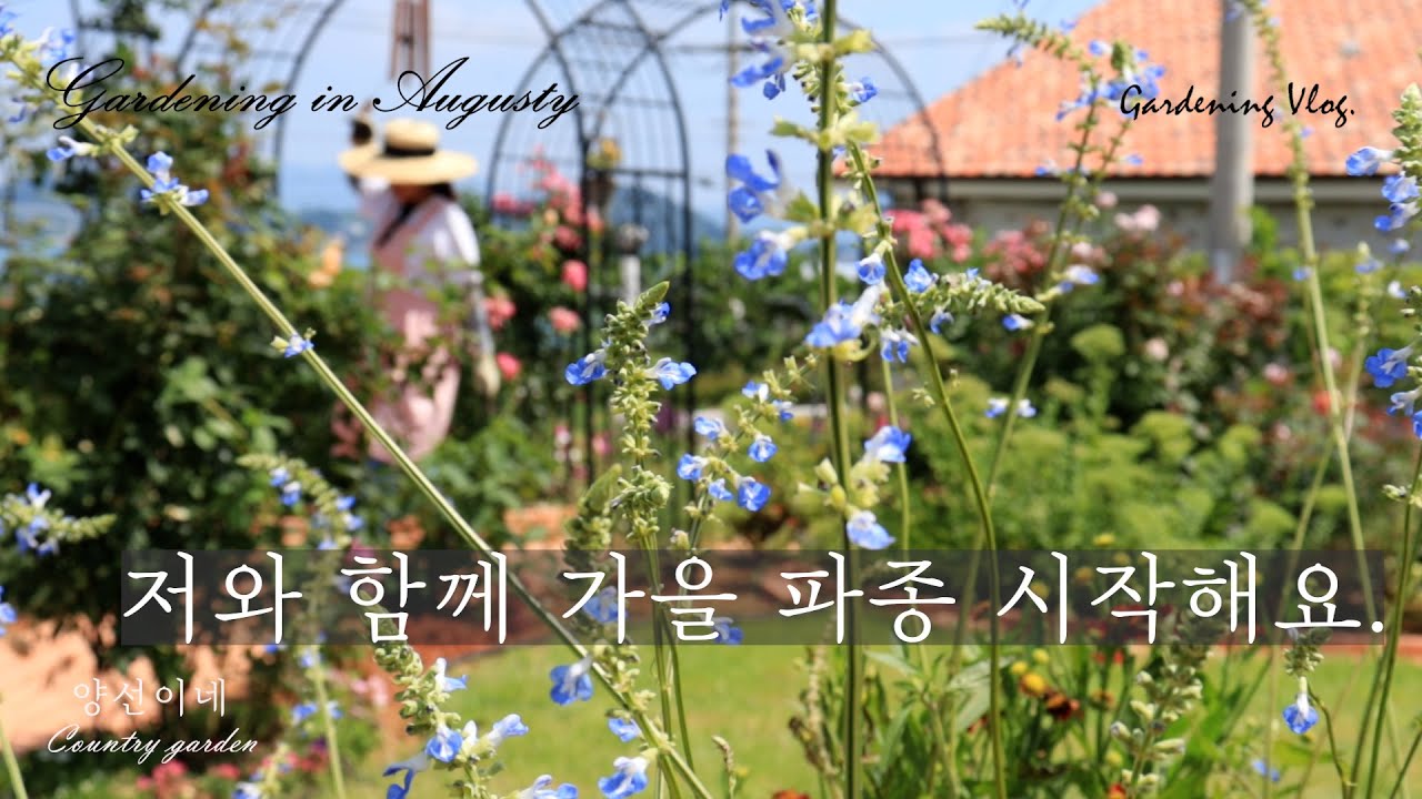 가을 파종 어렵지 않아요.