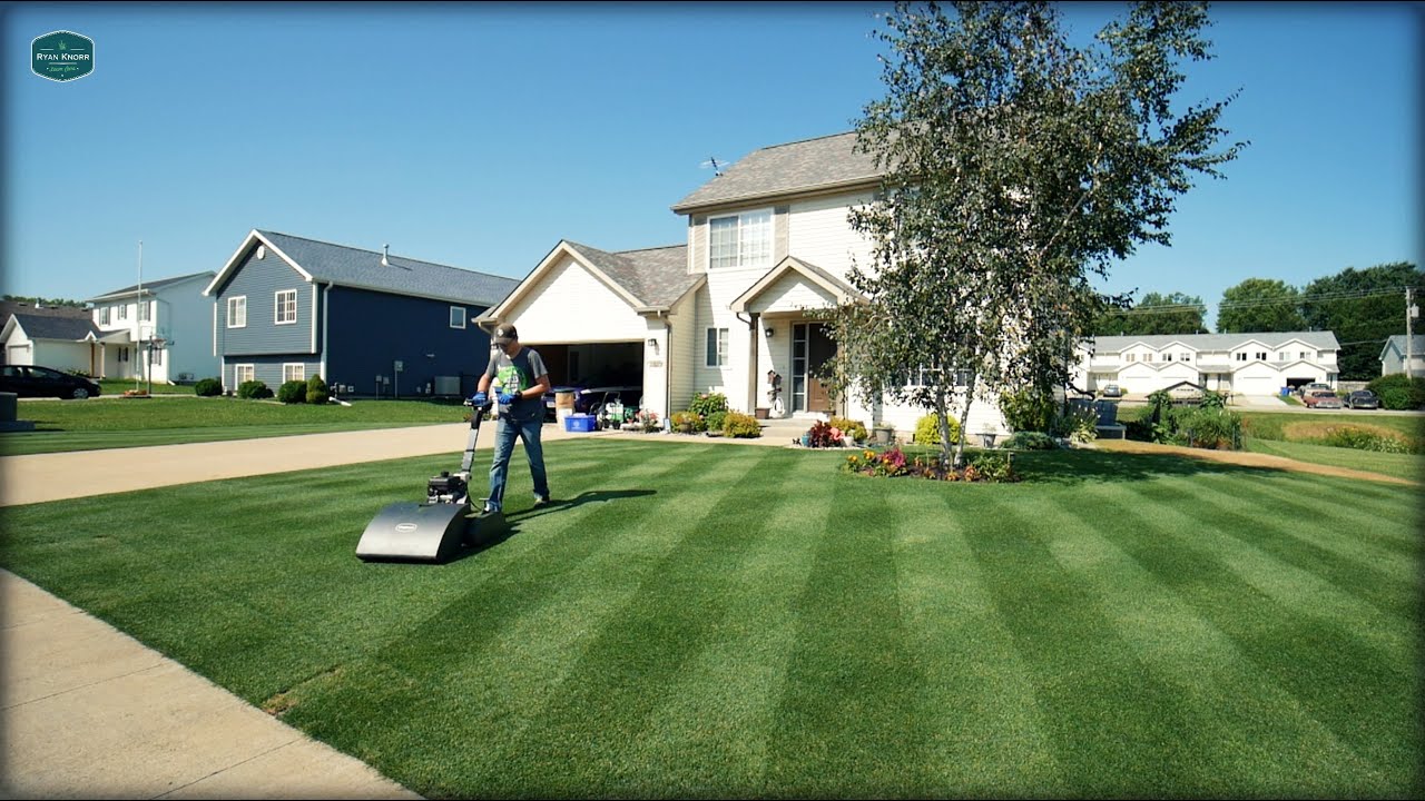 Will Perennial Ryegrass Work In YOUR Lawn??