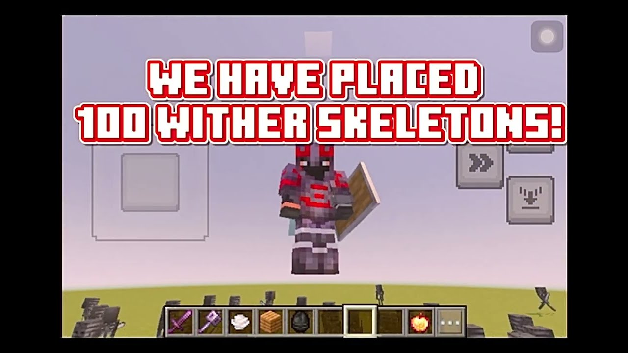 I Fought 100 Wither Skeletons!