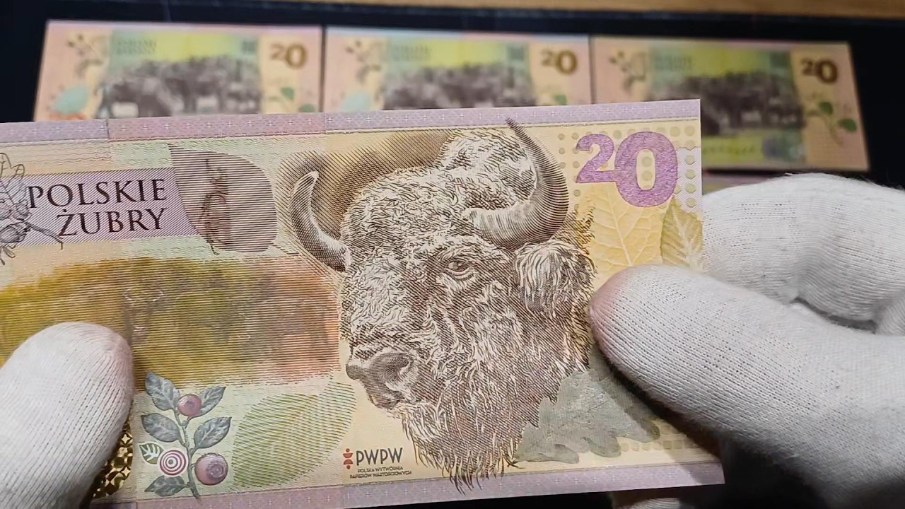 Potegą podłoża, niezwykłe walory testowe PWPW,  Polskie Żubry #numizmatyka #pwpw #banknoty