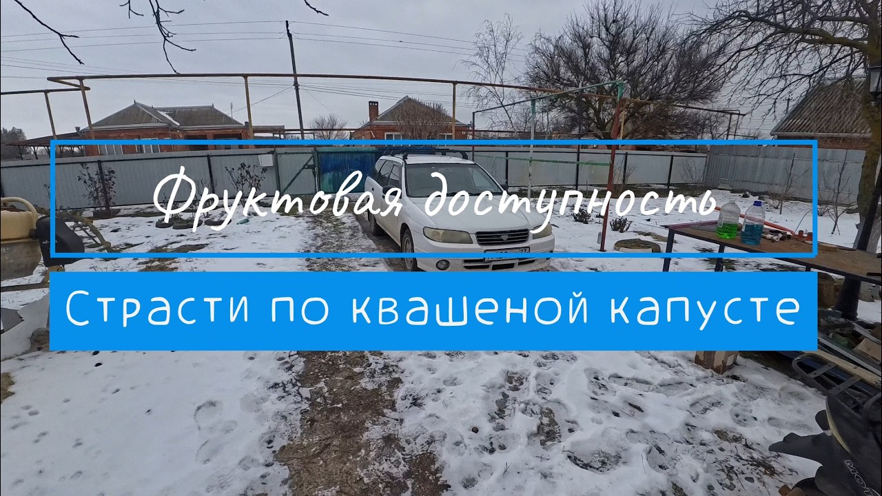 Фруктовая доступность // Страсти по квашеной капусте