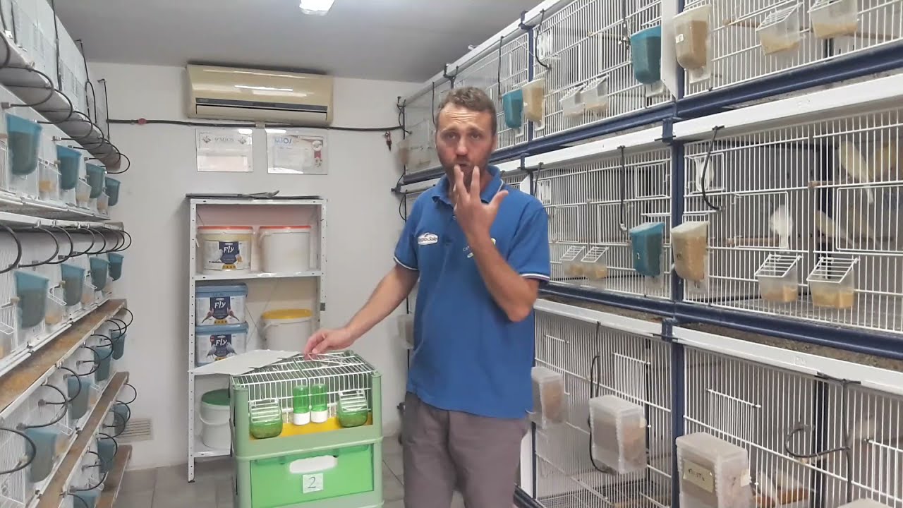 Canary Team - In viaggio con i nostri animali