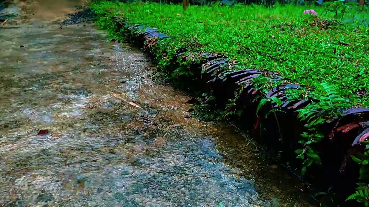 Lose Yourself in Gentle Rain Along a Hidden Garden Path 🌧️ | Deep Sleep ASMR