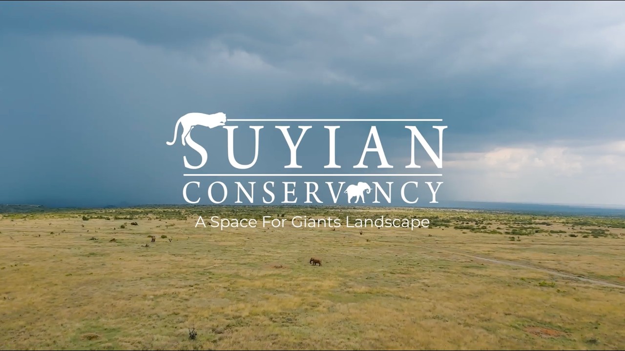 About Suyian Conservancy