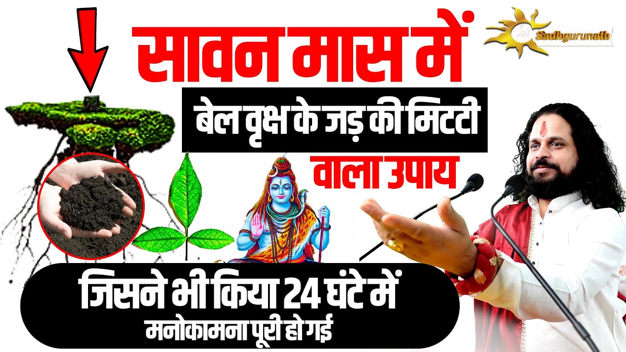 सावन मास में बेल वृक्ष के जड़ की मिटटी वाला उपाय, जिसने भी किया 24 घंटे में मनोकामना पूरी हो गई |