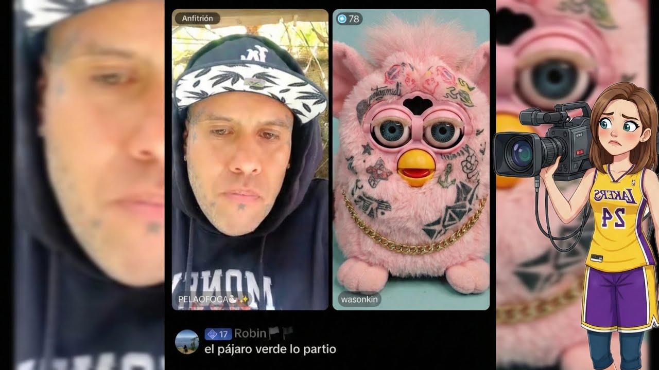 Wason king dice cosas sin sentido en la entrevista Acida de pelao foca 🦭