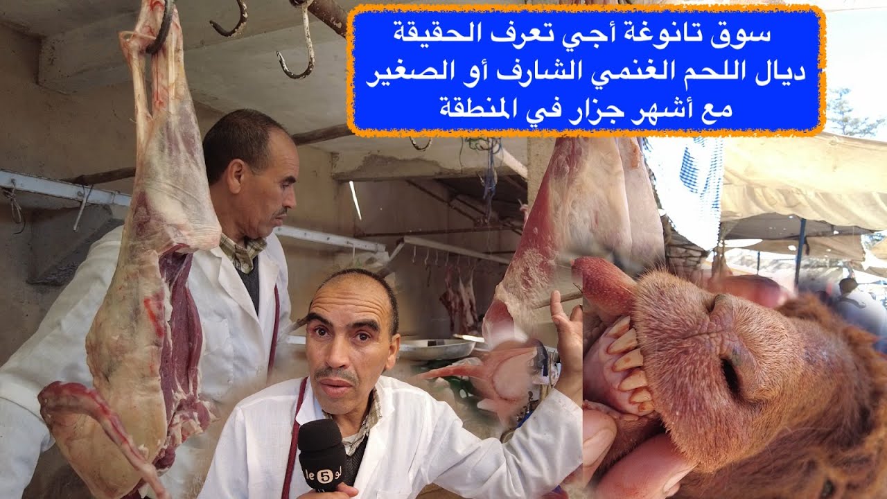 سوق تانوغة أجي تعرف الحقيقة ديال اللحم الغنمي الشارف أو الصغير مع أشهر جزار في المنطقة
