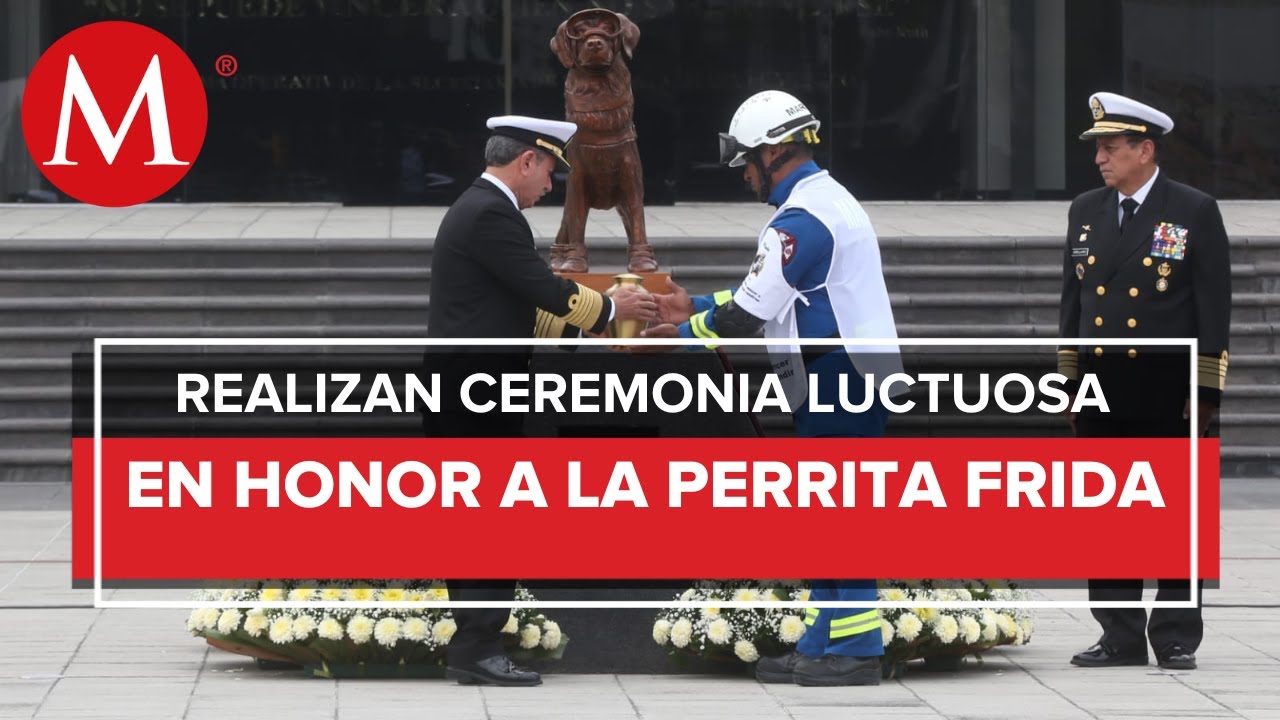 Realizan en CdMx homenaje a la perrita Frida; 