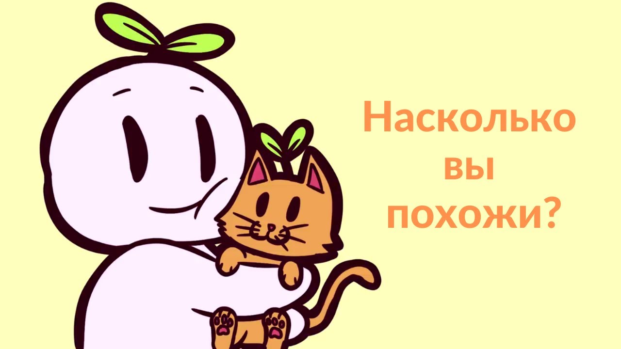 5 общих черт интровертов и кошек [IntrovertsUnite на русском]