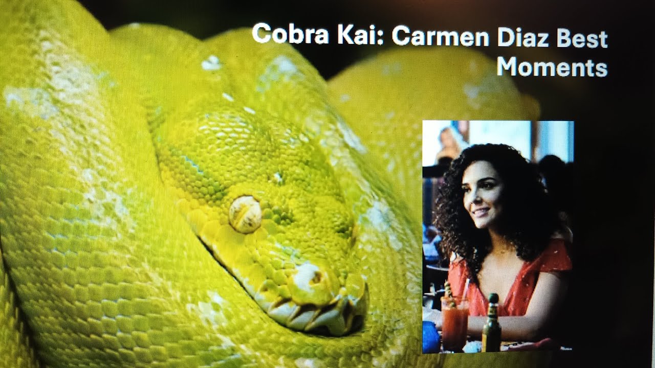 Cobra Kai: Carmen Diaz Best Moments 
