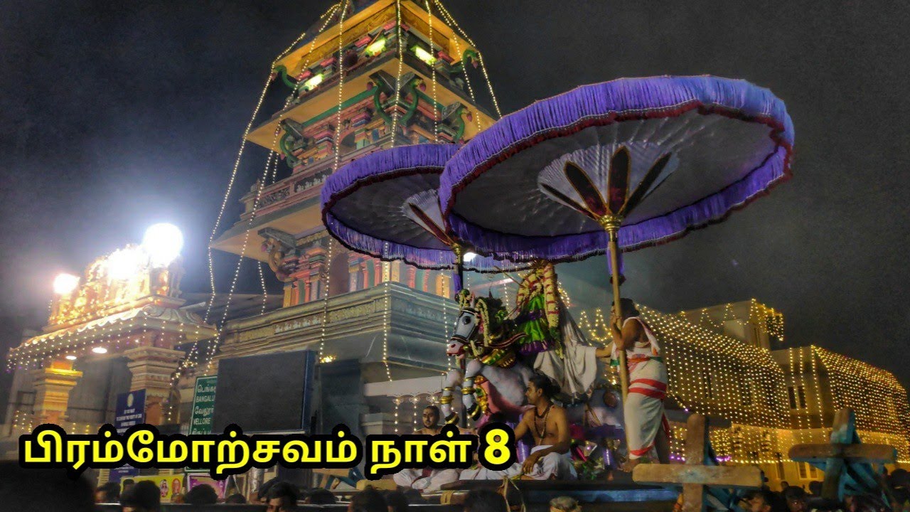 பத்ரபீடம் & குதிரை வாகனம் , பிரம்மோற்சவம் நாள் 8 , Kanchi Kamatchi Amman Temple festival Day 8