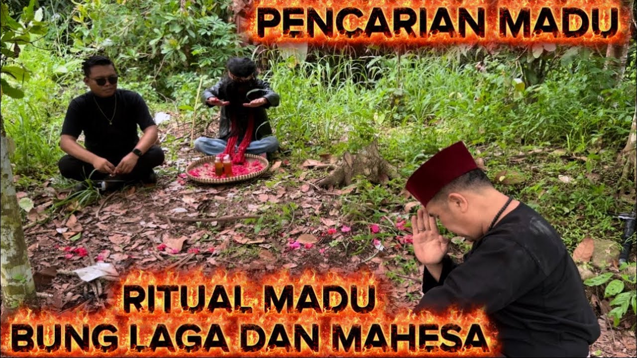 BANG REY TERBARU MAK DATUK TEMUKAN MADU YG DI SIMPAN BUNG LAGA#bangreylampung