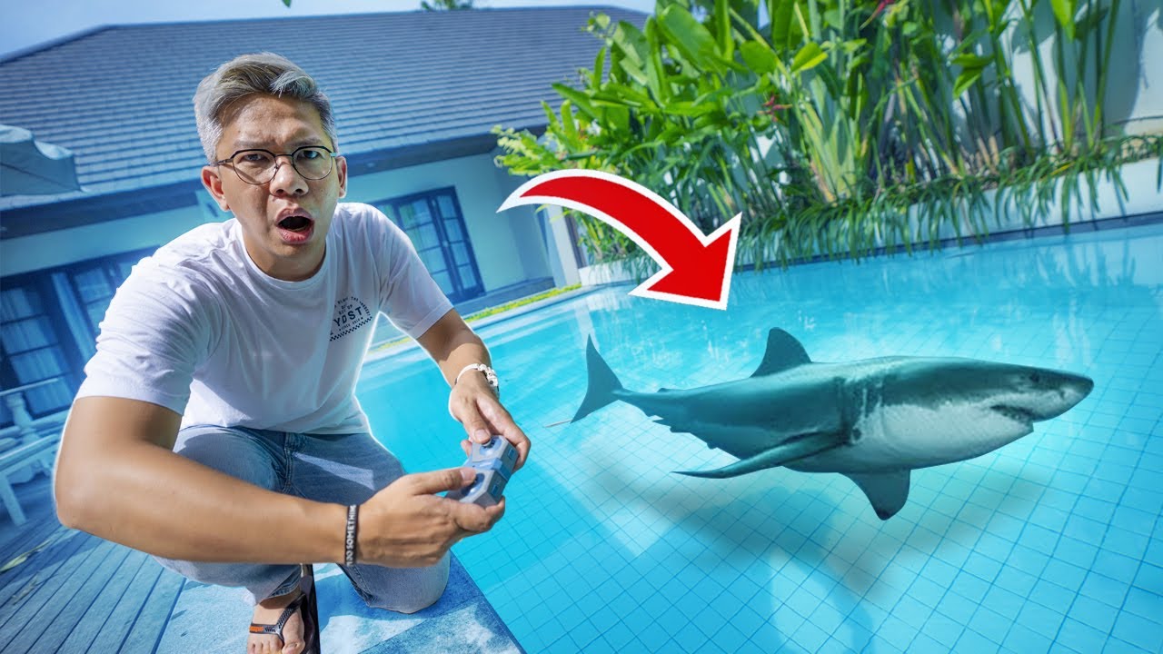 REMOTE CONTROL HIU!! JANGAN BERENANG DI KOLAM INI!!