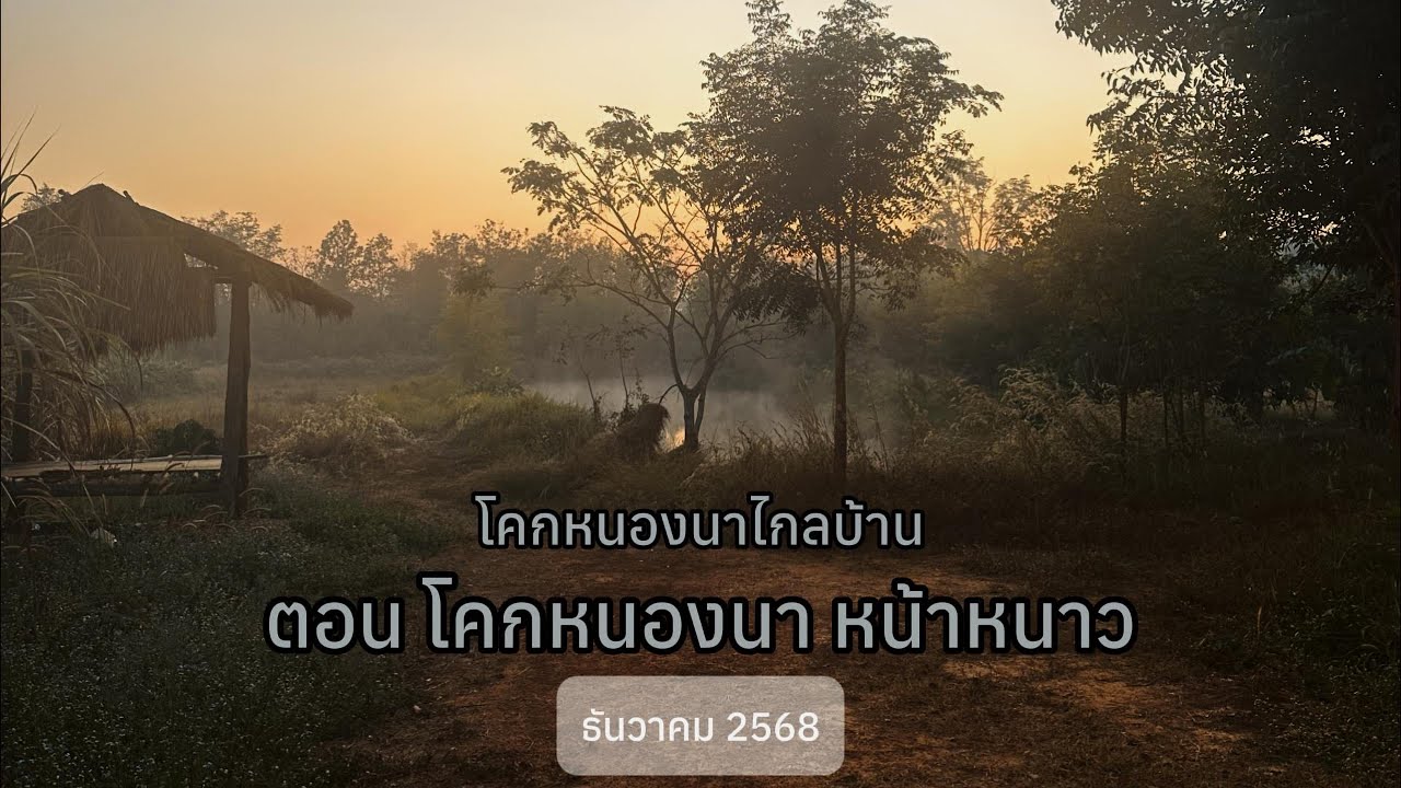 โคกหนองนาไกลบ้าน ตอน 11 โคกหนองนา หน้าหนาว “Khok Nong Na in winter”