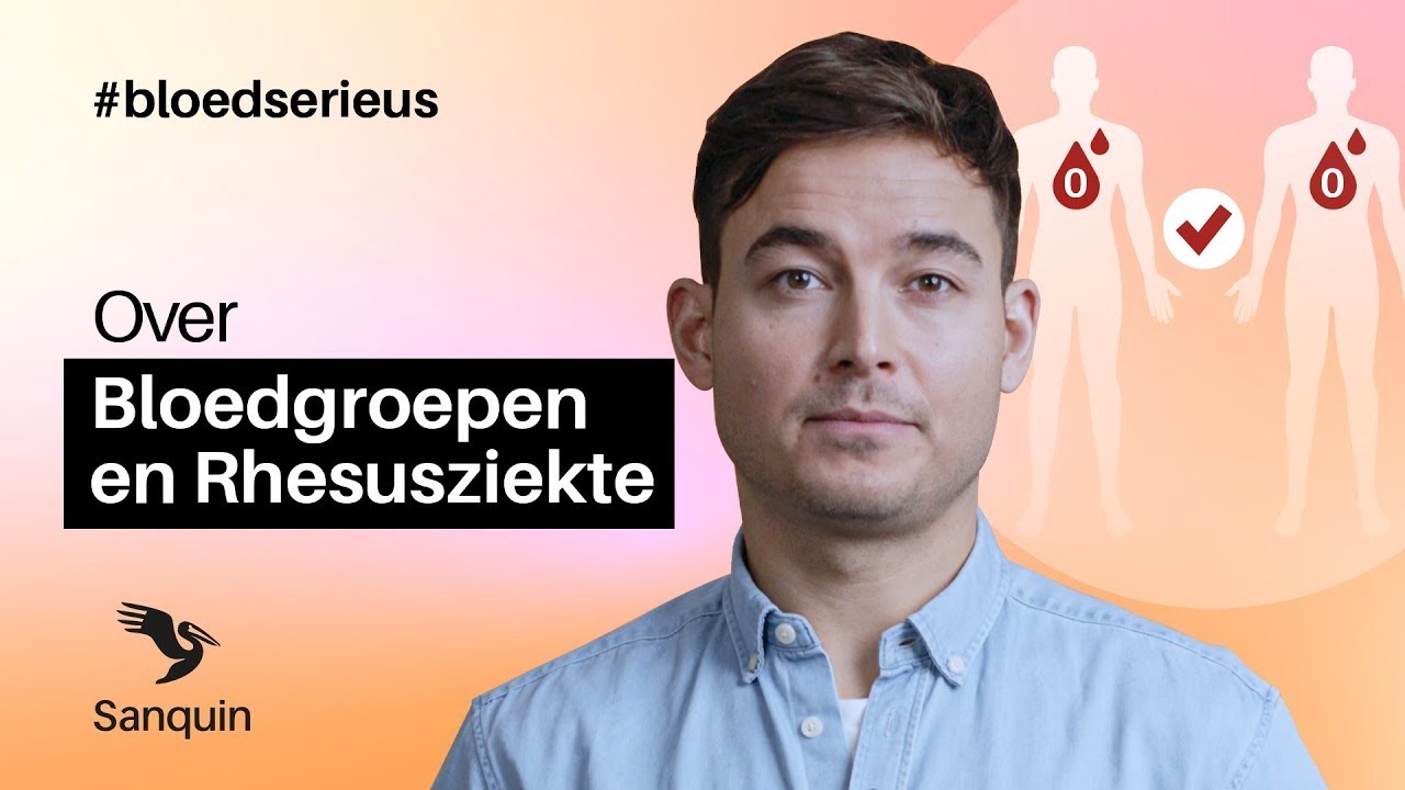 Bloedgroepen en Rhesusziekte (Rh) uitgelegd | Sanquin