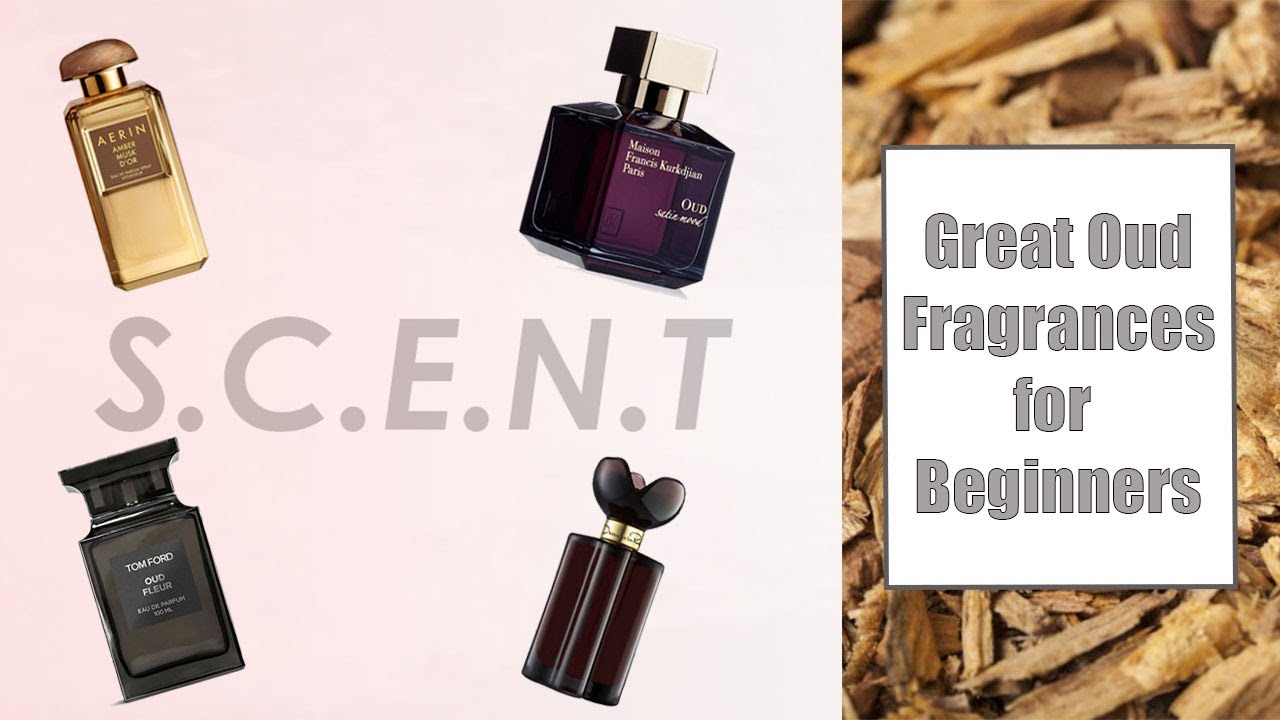Great Beginner Ouds | From My Perfume Collection | S.C.E.N.Trails