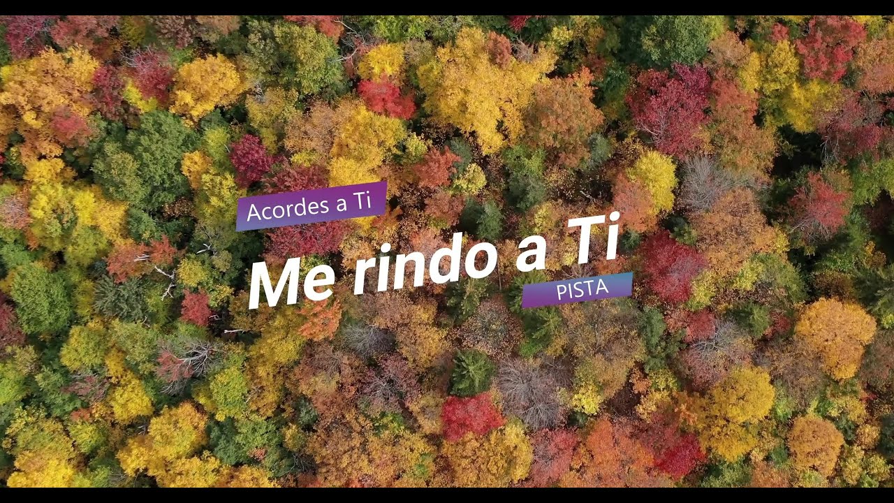 Me rindo a ti  - Acordes a Ti - PISTA - (Cover Majo y Dan)
