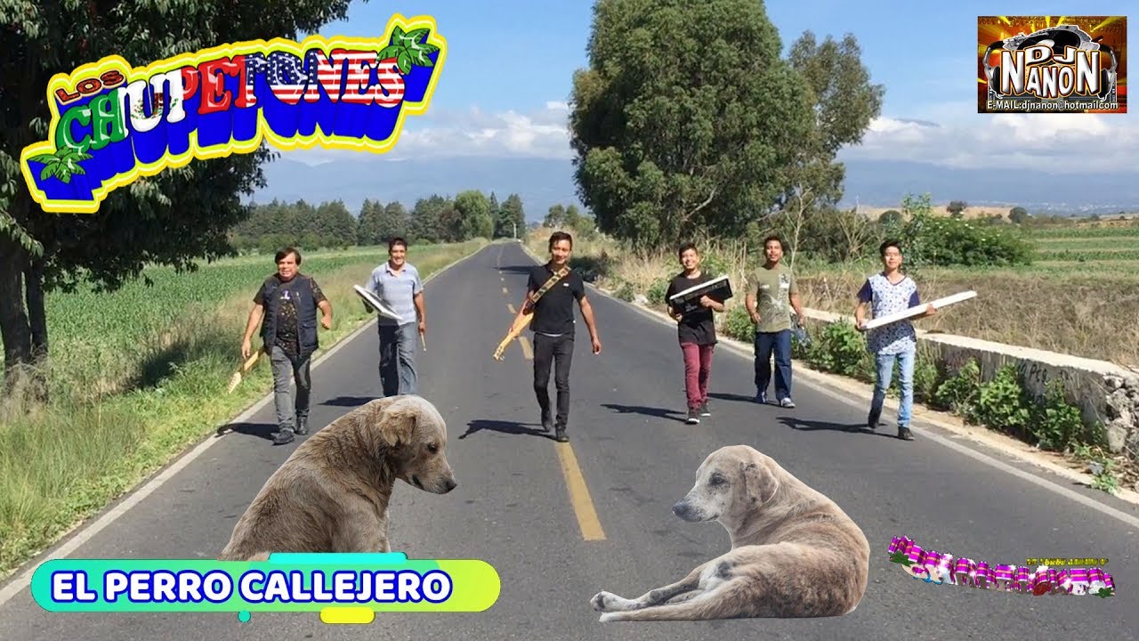 VIDEO OFICIAL PERRO CALLEJERO ★GRUPO LOS CHUPETONES★ 2018