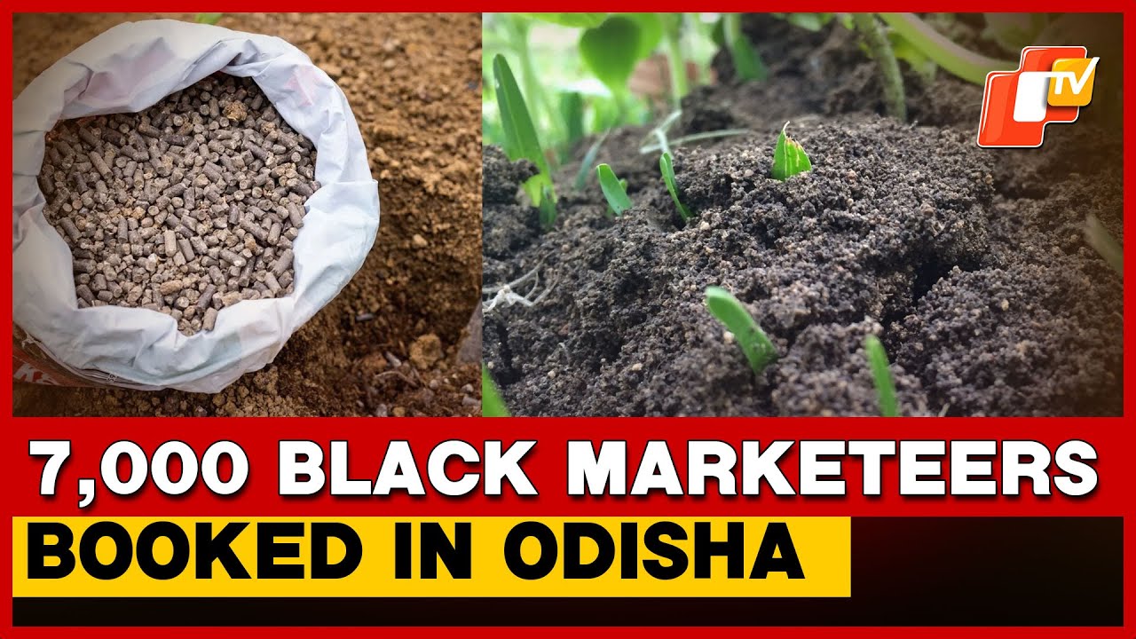 Odisha Acts On Fertiliser Black Marketing: Over 7,000 Retailers Inspected, 77 Licences Cancelled