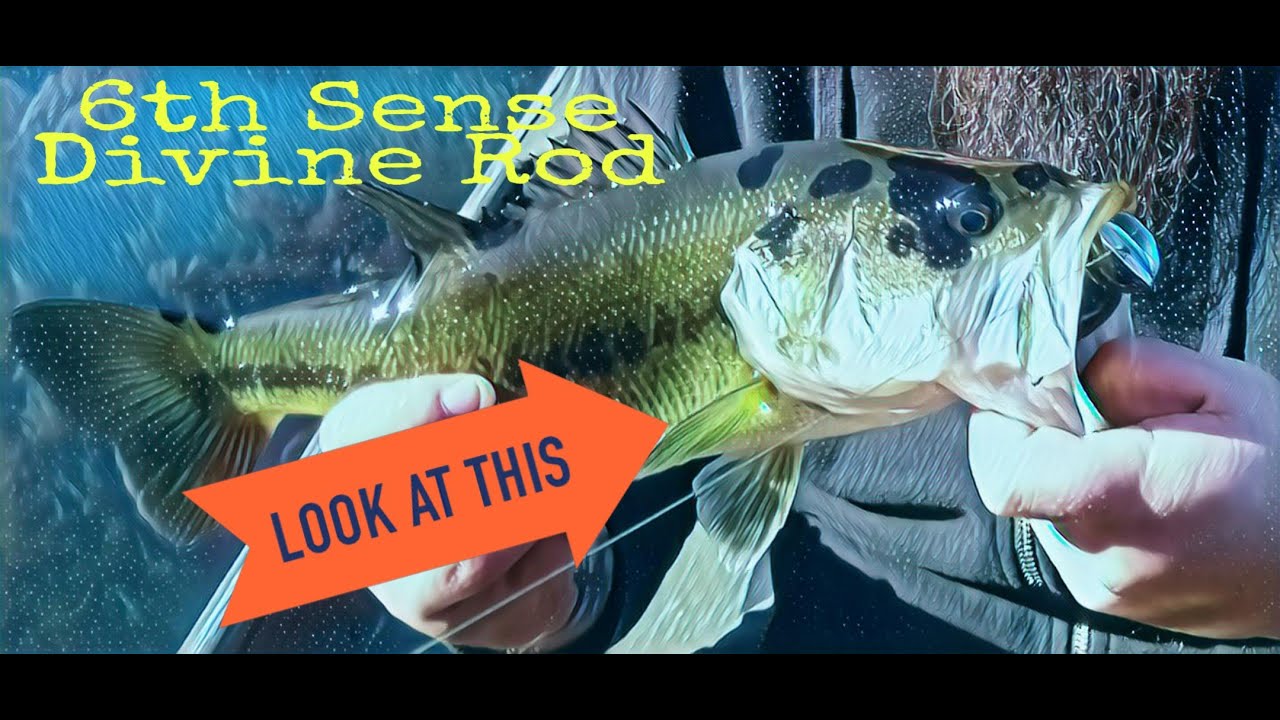 6th Sense Divine Rod UNBOXING + more and Catching Bass with Divine SwimJig. #divinerod #6thsense