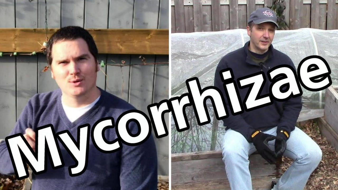 Mycorrhizae & Mycorrhizal Soil Amendments