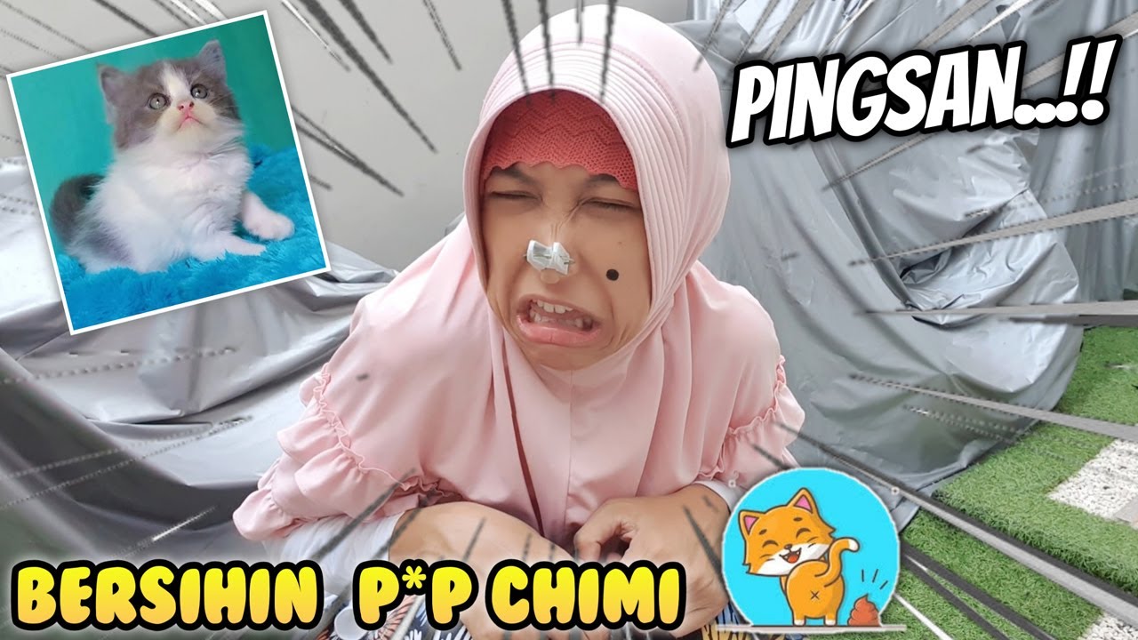 Tugas Baru Kunyit 😄 Bersihkan Kandang Chimi Si Anak Kucing Lucu | Asti Kunyit - Bunda Aqilla Eps 77