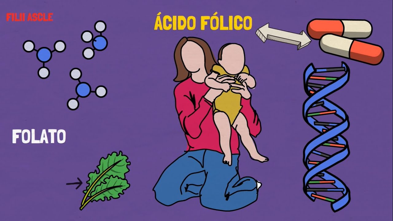 &Aacute;CIDO F&Oacute;LICO | PARA QU&Eacute; SIRVE?